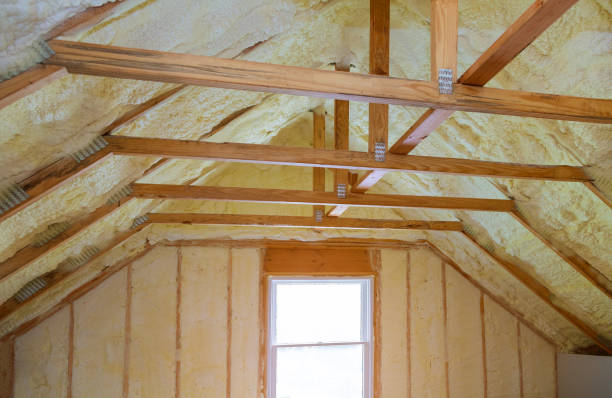 Best Geographic-Specific Insulation Services in Durand, MI