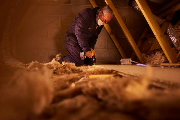 Best DIY Insulation Kits and Guidance in Durand, MI